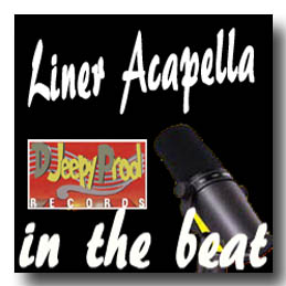 Jingle Dj ''Liner in the beat'' by djeepyprod com